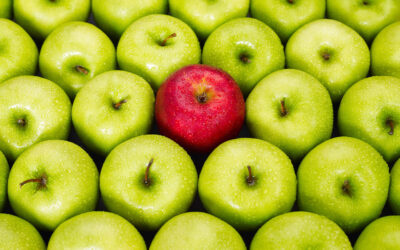 How to Design for Your Target Audience